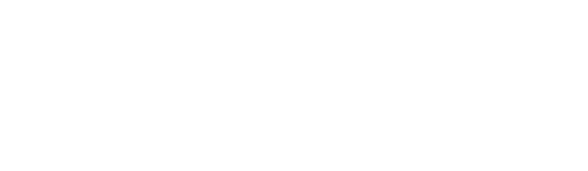 Herdinger Transport Logo